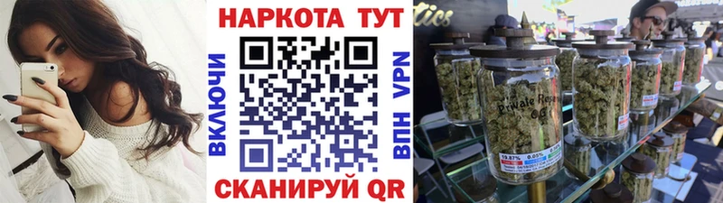 Где продают наркотики Гатчина Кокаин  hydra вход  Гашиш  Альфа ПВП  АМФ 