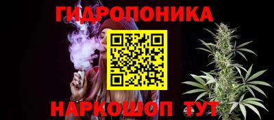 apvp Гай