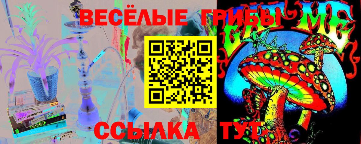 Галлюциногенные грибы ЛСД Гатчина